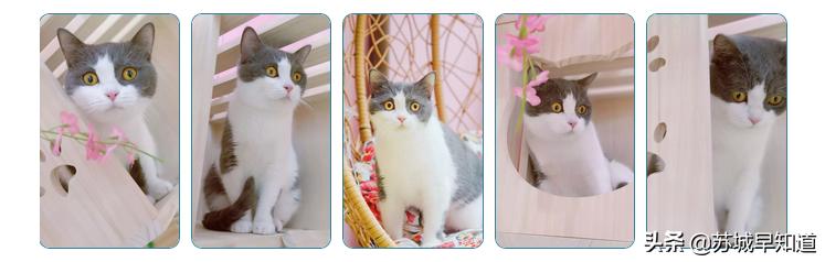 苏州平江路万达广场,苏州万达广场平江店