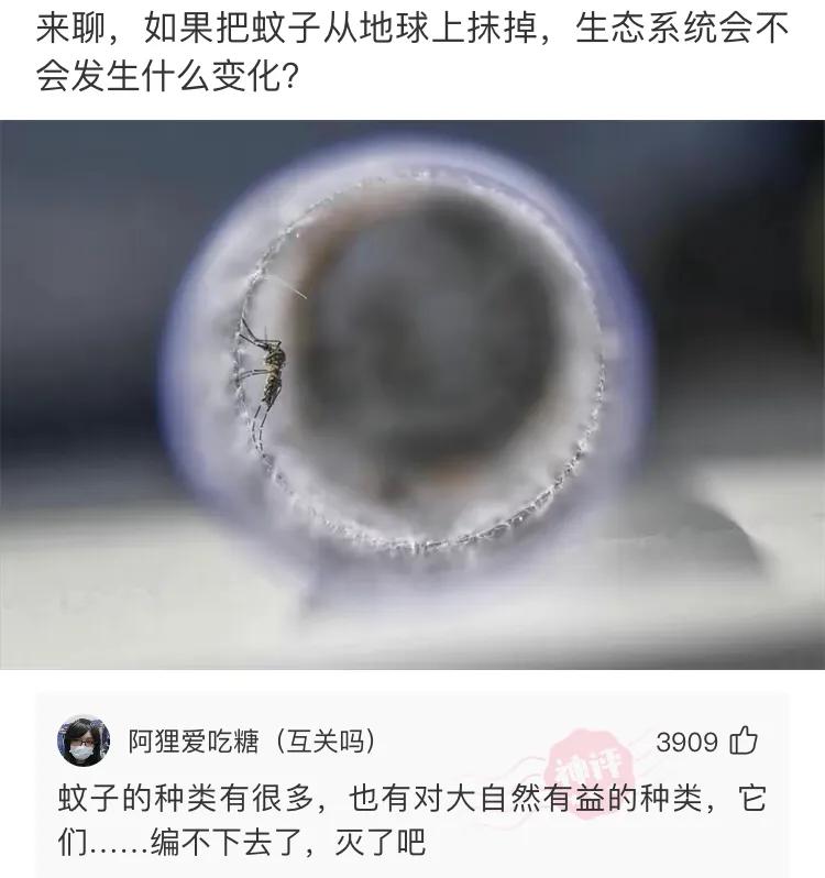 那些网友的神回复,那些网友们的神回复