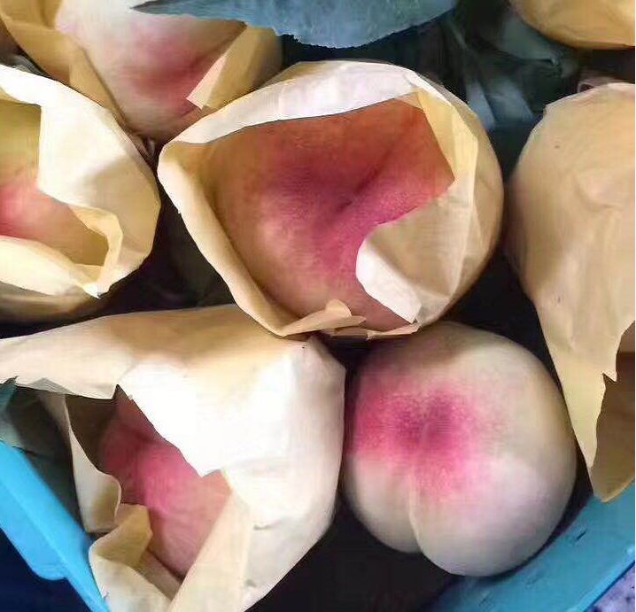 正宗阳山水蜜桃有哪几种,阳山水蜜桃辨别