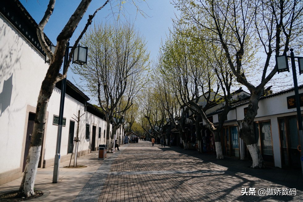 拙政园最让人欣赏的地方,拙政园十大特色