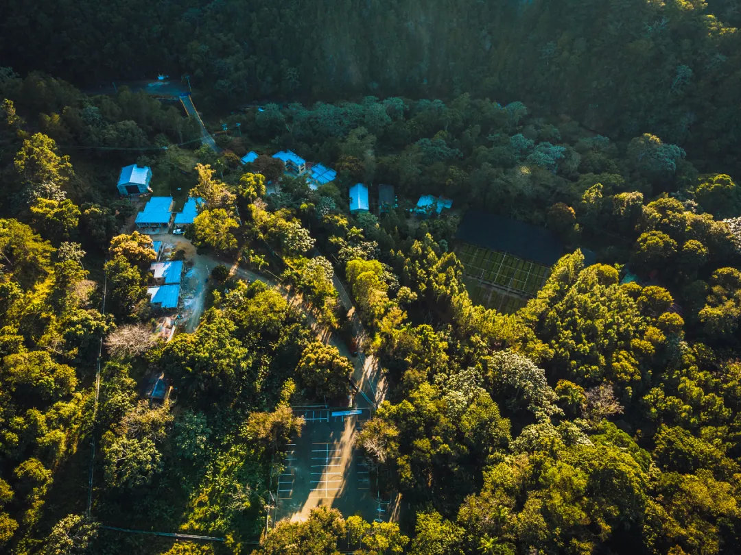 生而为人对不起出自哪部电影,生而为人对不起原话