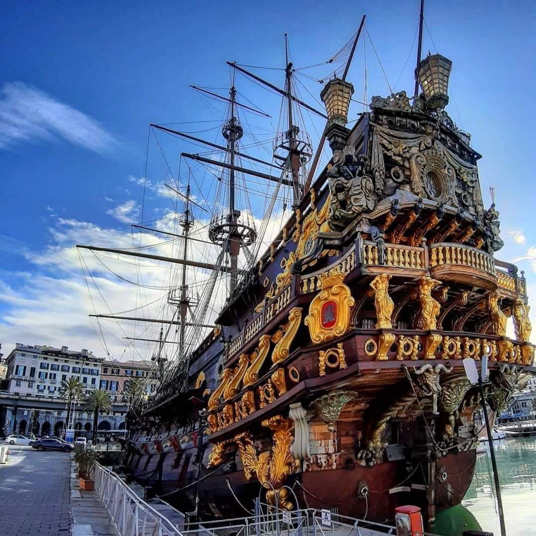 电鳗鳄鱼同归于尽,鳄鱼与电鳗同归于尽