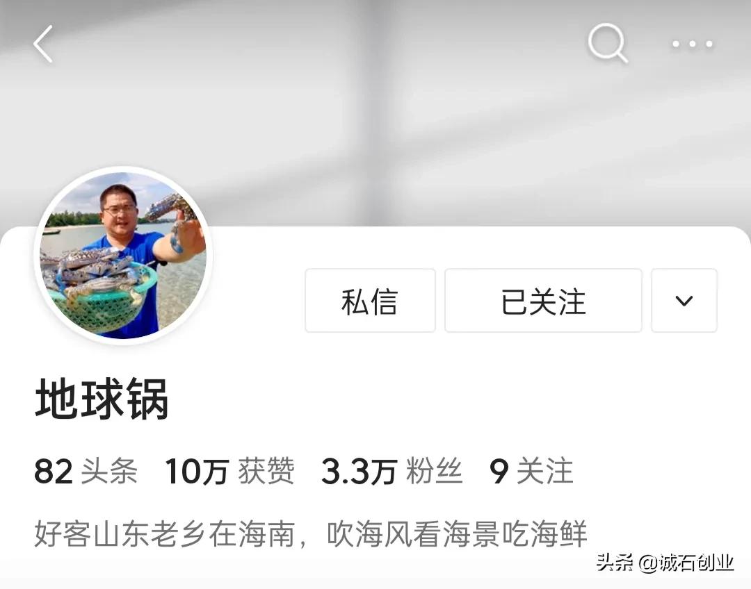 美食自媒体前十名,美食自媒体创业视频教程