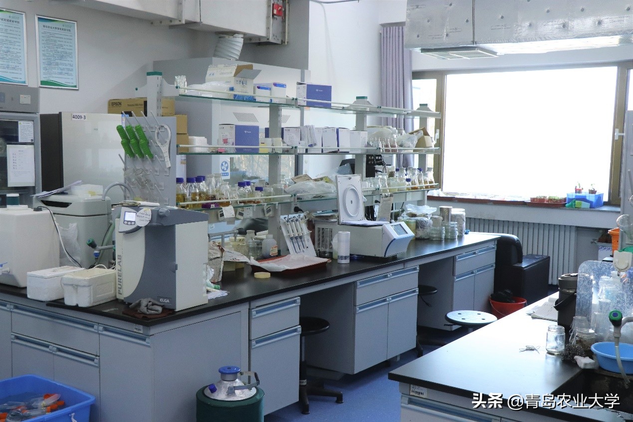 介绍青岛农业大学,令人心动的青岛