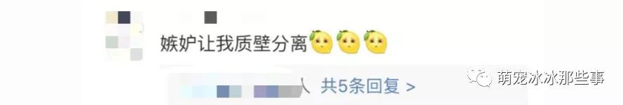 最壕狗窝！主人花3万5为爱宠造了个别墅，泳池和阳光房全都有