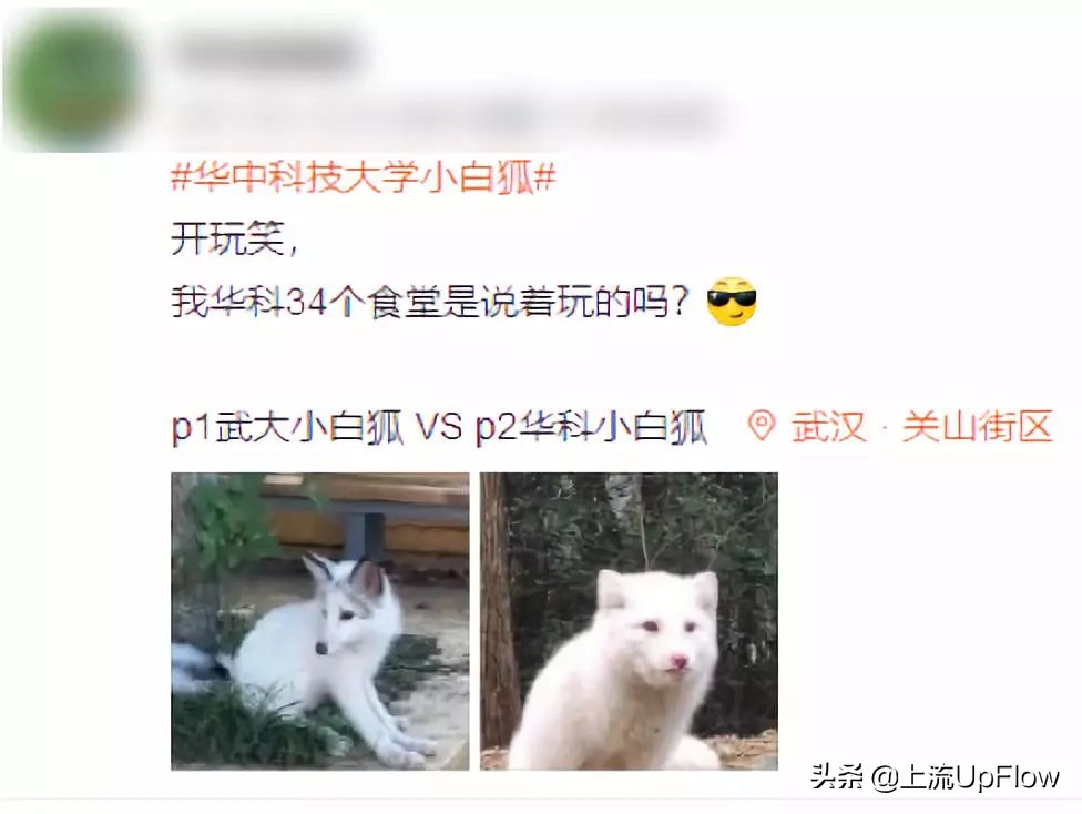 大学选不对专业就是白读,大学选不进科的后果