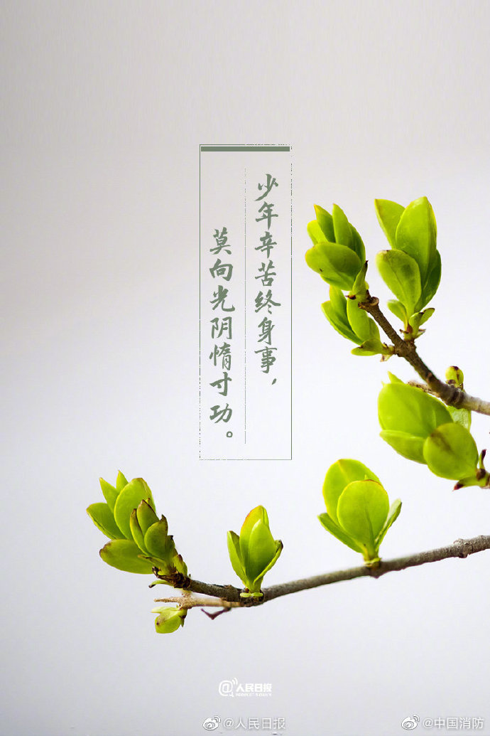 一起感受古诗词里的励志情怀,写给自己的励志古诗词名句