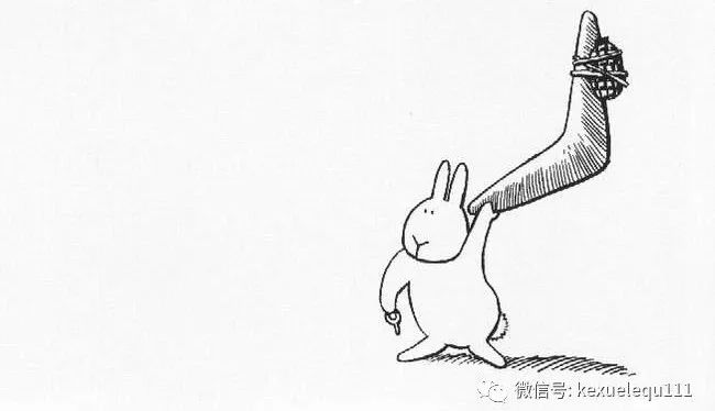 杀死一只兔子的预兆,杀死兔子的方法