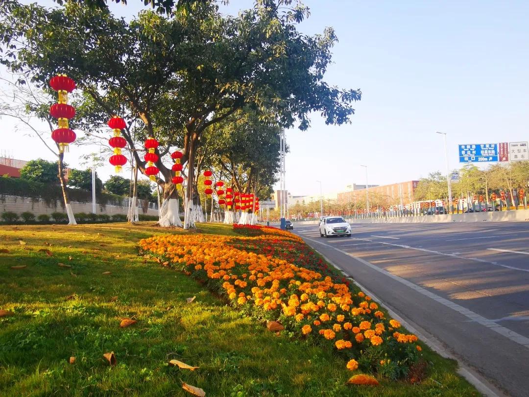 宜居、宜业、宜游......番禺，来过的都说好！