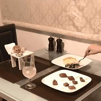 仓鼠与仓鼠之间是怎么交流的,怎么和仓鼠训练让仓鼠变得更亲密