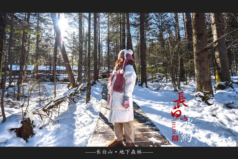 冰雪总动员简介,冰雪总动员