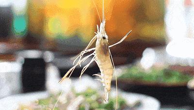 深圳蓬客精品酒店海岸城附近,深圳蓬客精品酒店罗湖店