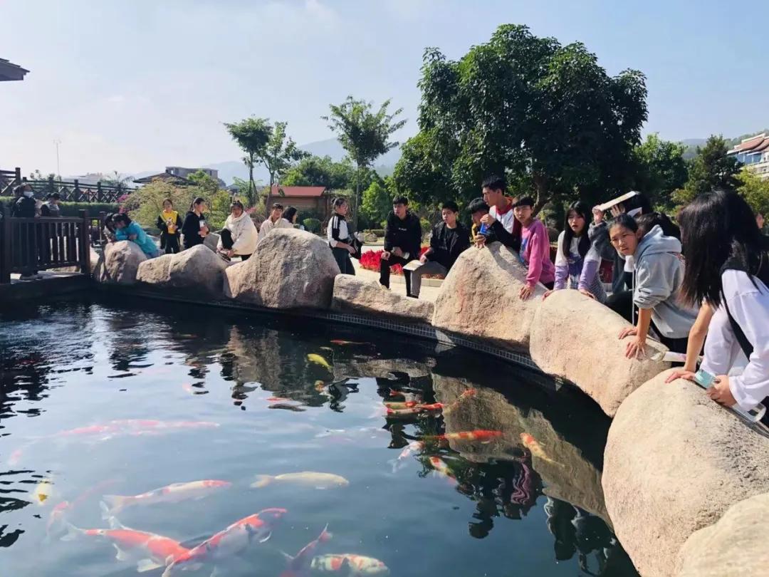 东南花都花博园景观,东南花都花博园