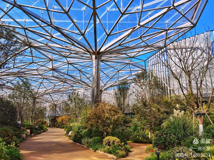 南京园博园时光亦谷游玩攻略路线,紫清湖和园博园哪个值得一去