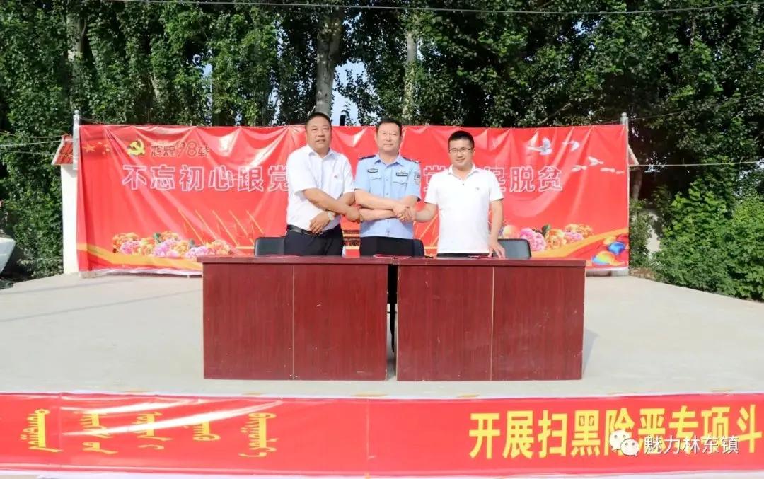 基层党建先锋村,林东镇先锋村书记