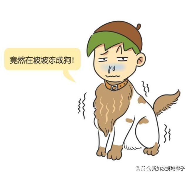 新加坡冻成狗,新加坡狂风暴雨来袭