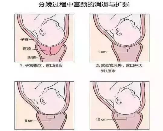 开十指到底是什么,开十指就是十个指头