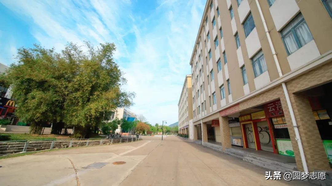 北京师范大学珠海分校985,北京师范大学珠海分校算是985吗