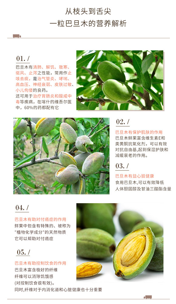 甘肃巴旦木适合种植吗,巴旦木是野生还是人工培育