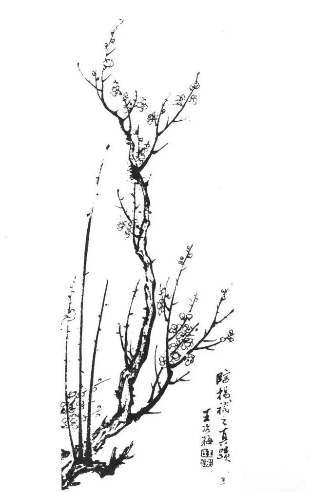 梅花的画法一年级,梅花的画法大全集