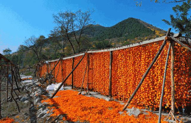 深圳周边适合10-15人玩乐的地方,深圳周边两天一夜的旅游地方推荐