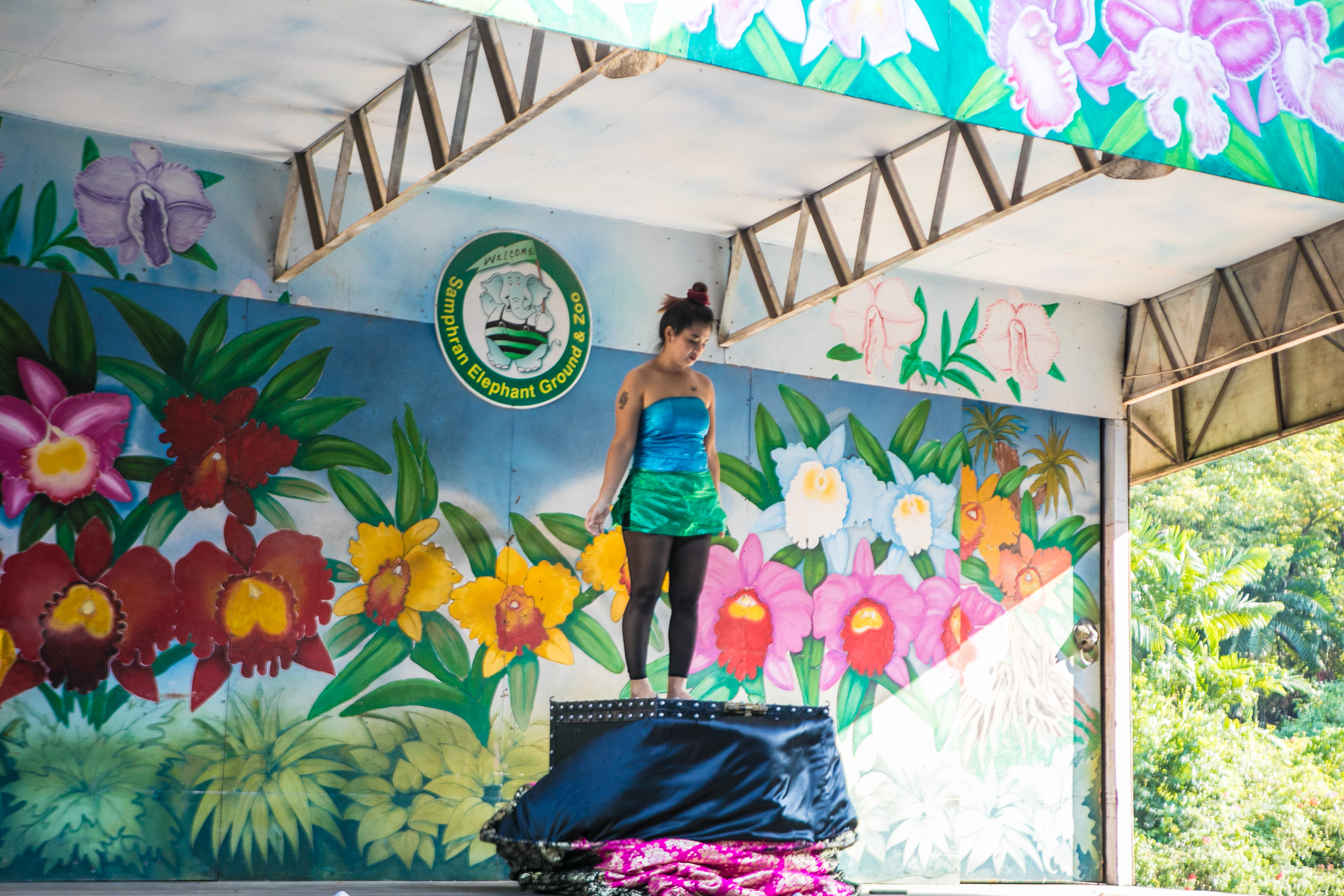 大象在泰国和印度象征着什么,大象是泰国的象征英语