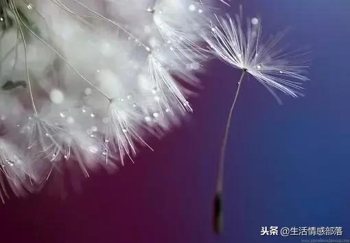 适合写心灵鸡汤的经典句子,男人心灵鸡汤句子精辟