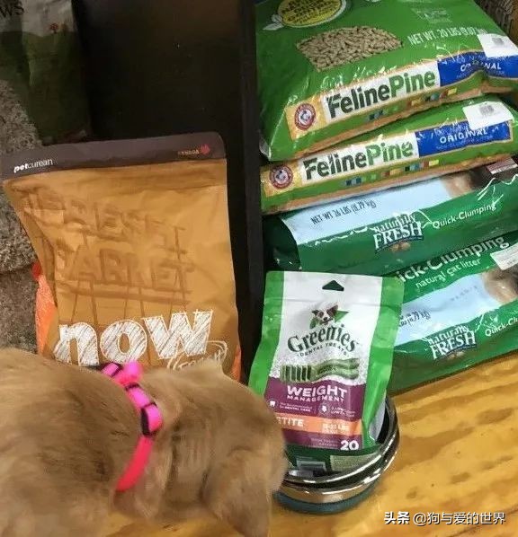 鏅氫笂瀹堕噷杩涗簡涓嶆槑鐢熺墿,鐢峰瓙鍗婂鍥炲閬囦笂涓嶆槑鐢熺墿