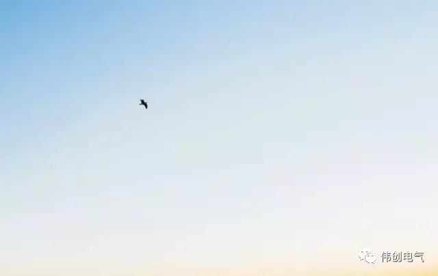 如何区分伺服和变频的区别,变频与伺服最简单的区别