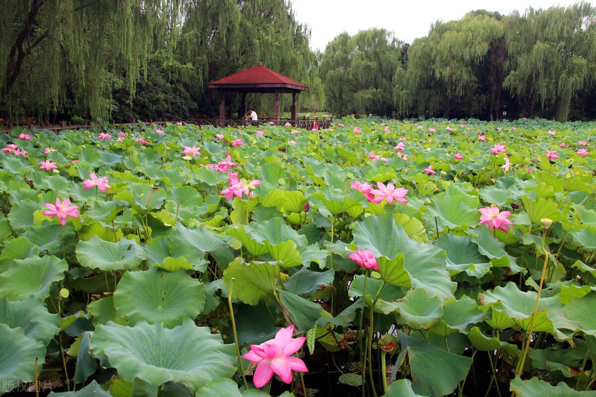 苏州相城新招聘,苏州市相城区渭塘镇招聘信息
