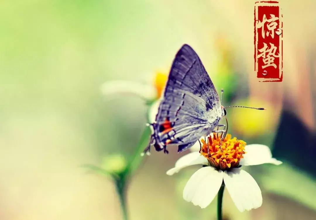 北京昌平区旅游必去十大景点推荐,昌平周末游玩推荐景点攻略