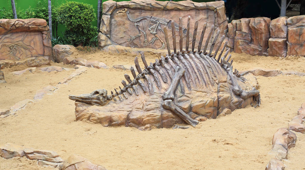 报考冷门专业考古学的女孩,考古学好不好就业