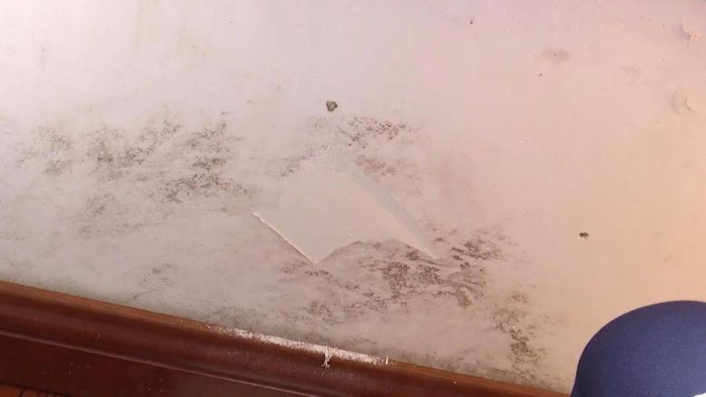 二手房墙体发霉怎么彻底解决,旧房装修墙壁开裂怎么处理