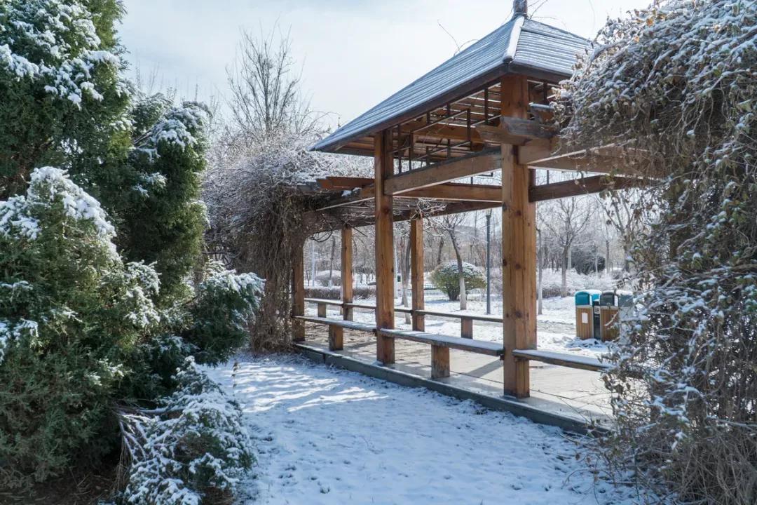 天津市普通高等院校,天津师范高等专科学校