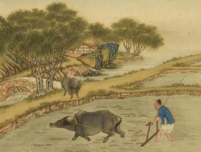 古代冬天没有棉花怎么办,古人没有冰箱怎么保鲜食物