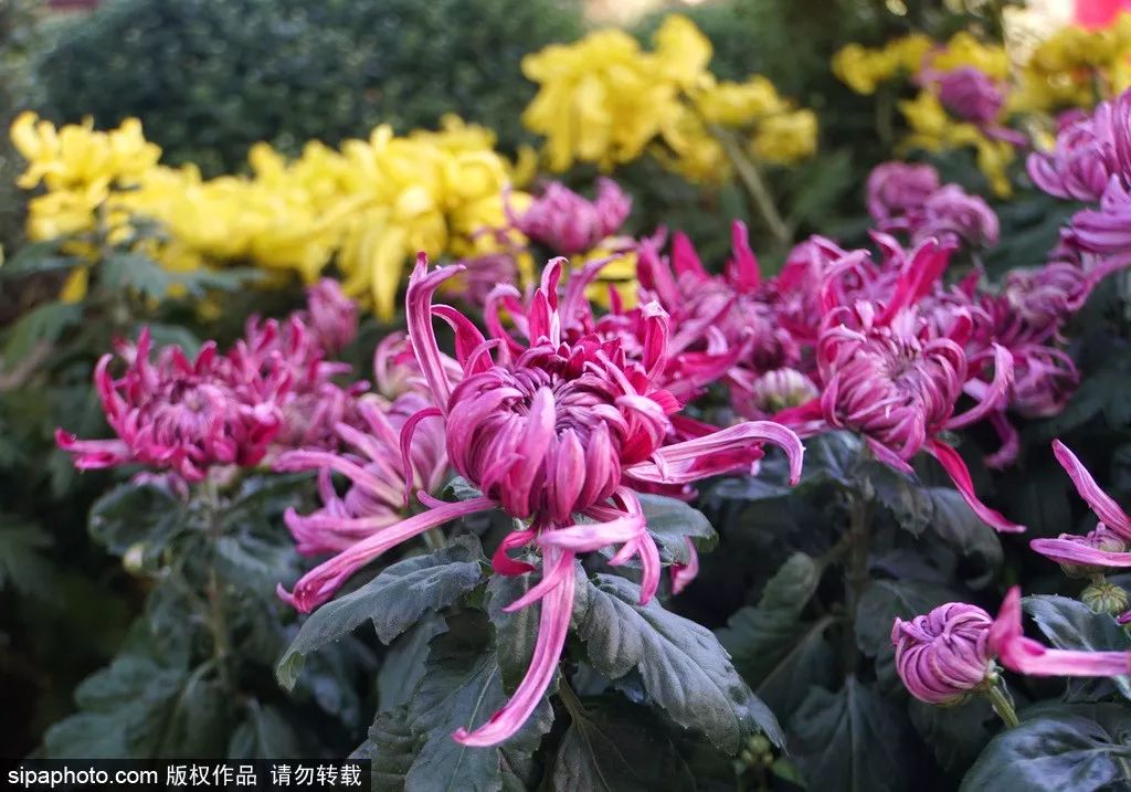 这10个北京之最，一般人都不可能去过五个以上！