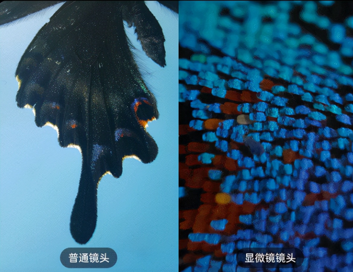 2021年oppo手机特价,oppo2021年旗舰机