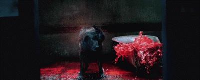 这是一部想象爆棚的超R级影片，好「色」之徒必看电影