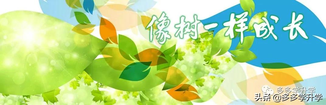 深圳南山外国语高级中学,深圳南山外国语科华分校