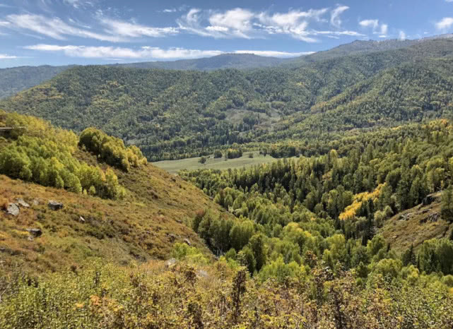 阿勒泰地区,追寻这种冷水溪流中的精灵“花翅子”现在已经禁钓