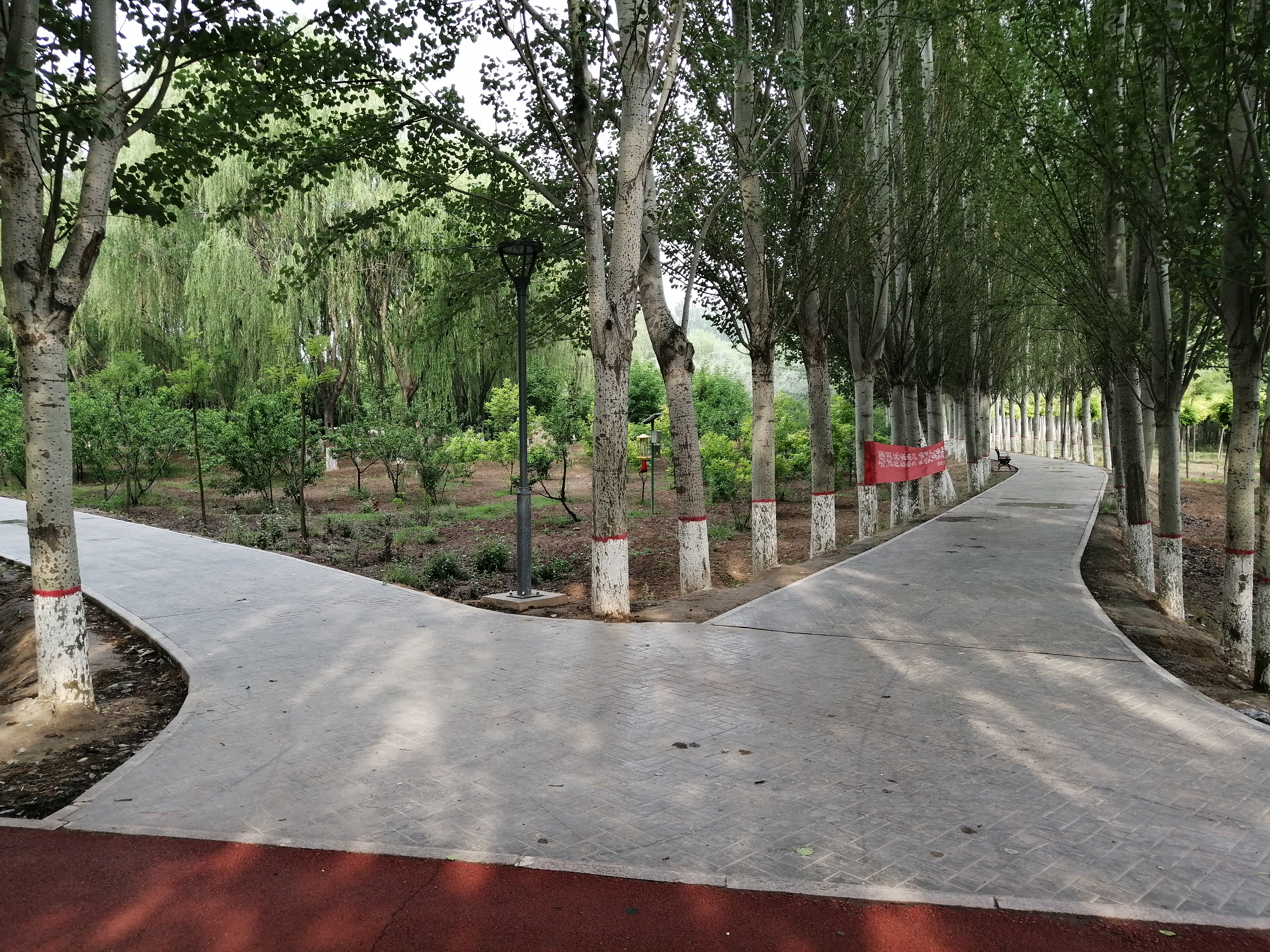 凤凰公园南京,凤凰公园的凤凰