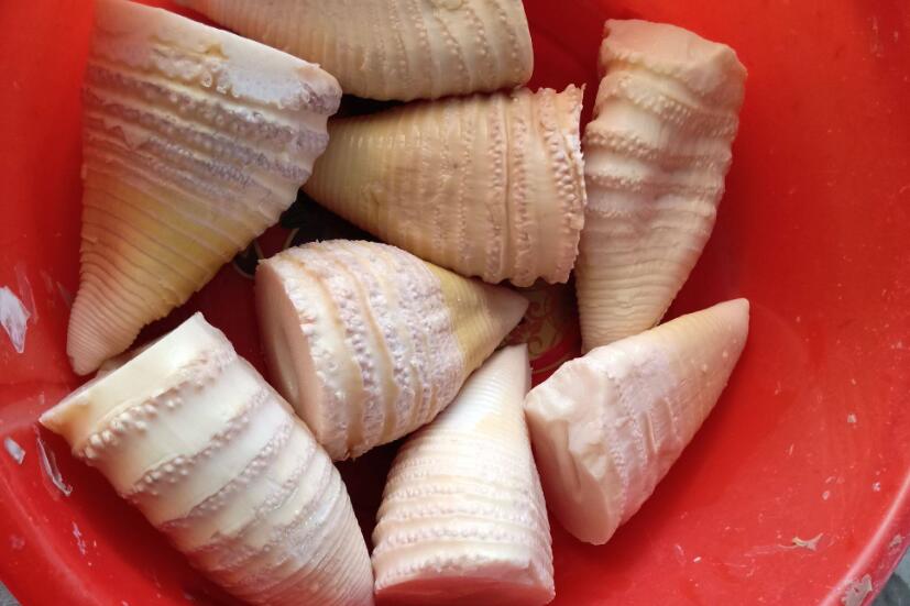 怎么挑选大笋和小笋的区别,春天笋怎么选比较嫩