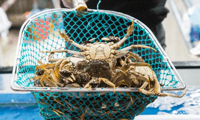 郑州超级鲜生春节不打烊,集“五福”领百万豪礼