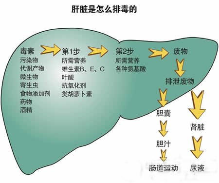 保肝药可以去门诊拿吗,肝病保肝药有哪些