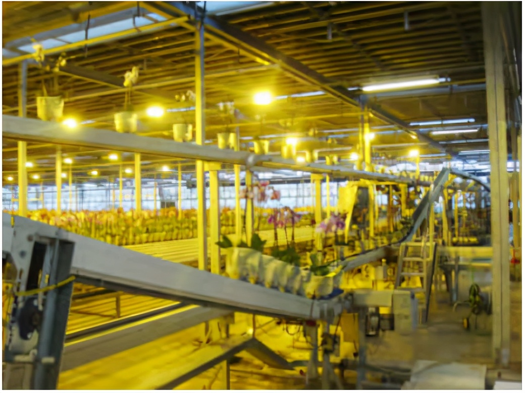 荷兰是怎么成为光刻机霸主的,荷兰最先进光刻机