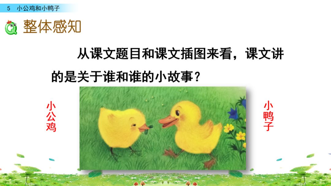 小公鸡和小鸭子一年级下册组词,一年级语文小公鸡和小鸭子复习