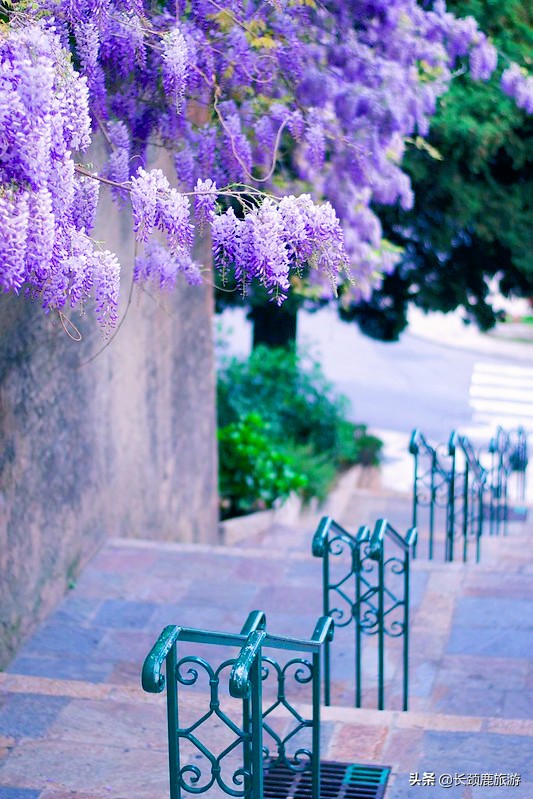 比较好用且价格实惠的香水,买到一支好用还不贵的香水