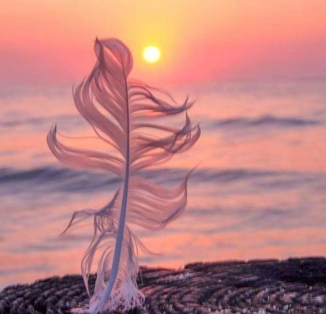 简单又暖心的晚安心语，经典温馨，愿美梦治愈你的难过！