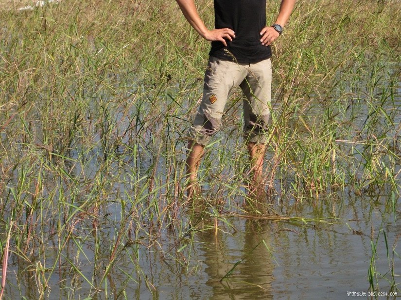 遨游仕溯溪鞋和徒步鞋买一样大吗,遨游仕溯溪鞋