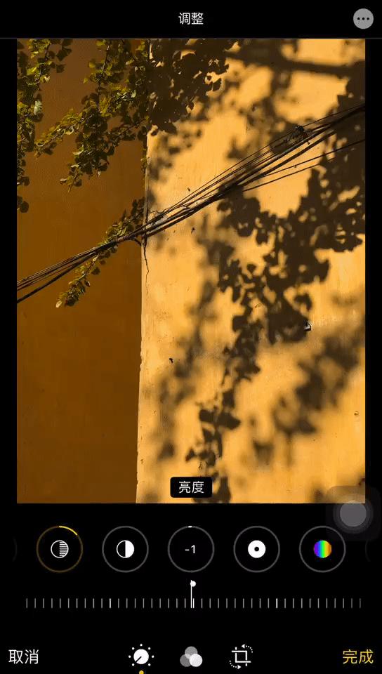 真羡慕那些不会用iPhone拍照的人
